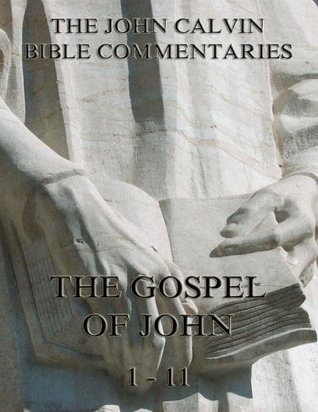 Commentaries On The Gospel Of John Vol. 1 (Commentaries on the Gospel of John, #1)