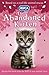 The Abandoned Kitten (RSPCA, #4)