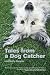 Tales from a Dog Catcher