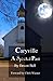 Caryville A Spirited Past by Devon Bell