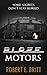 Blaze Motors