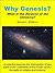 Why Genesis? What is the Purpose of the Universe?