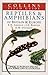 Reptiles and Amphibians of Britain & Europe (Collins Field Guide)