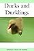 Ducks and Ducklings