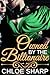 Owned by the Billionaire by Chloe Sharp
