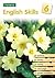 English Skills (Bk. 6)