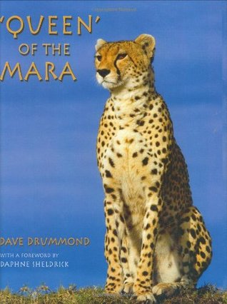 Queen of the Mara (Hardcover)