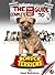 The Complete Guide to Border Terriers
