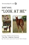 Day One: Look at Me (Your Foal: Essential Training Book 1)