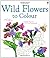Wild Flowers to Colour (Nature Colouring Books)