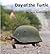 Day of the Turtle