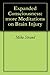 Expanded Consciousness: more Meditations on Brain Injury