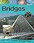 Bridges (Topic Books)