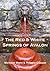 The Red and White Springs of Avalon
