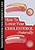 How To Lower Your Cholester...