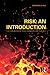 Risk: An Introduction