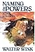Naming the Powers: The Language of Power in the New Testament (Powers, #1)
