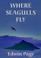 seagulls fly where