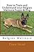 How to Train and Understand your Belgian Malinois Puppy & Dog