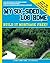 How I built MY SIX-SIDED LOG HOME from scratch