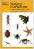 Studying Invertebrates by C. Philip Wheater