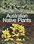 Australian Native Plants [OP] by Mark Webb