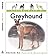 Living With a Greyhound by Cynthia Branigan