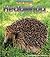 Hedgehog (Wild Britain)