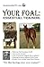 Your Foal: Essential Training (Horse Training How-To Book 5)