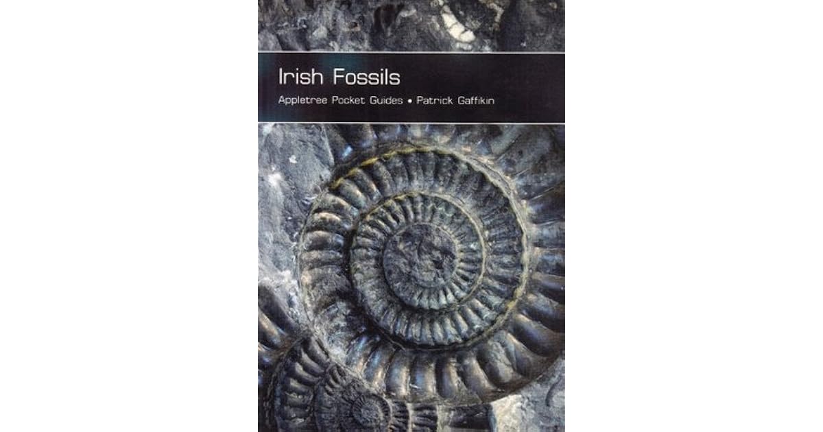 Irish Fossils by Patrick Gaffikin