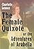 The Female Quixote Or The Adventures Of Arabella