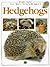 Everything You Wanted to Know About: Hedgehogs