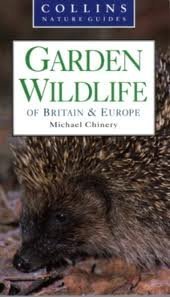 Garden Wildlife of Britain and Europe (Paperback)