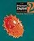 The Heinemann English Programme 2: Student Book (The Heinemann English Programme)