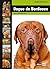 Dogue De Bordeaux (Dog Breed Expert Series)