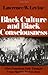 Black Culture and Black Consciousness by Lawrence W. Levine