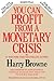 You Can Profit From A Monetary Crisis