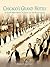 Chicago's Grand Hotels: The Palmer House Hilton, The Drake, and The Hilton Chicago