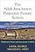 The Adult Attachment Projective Picture System by Carol George