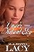 Under the Distant Sky (Hannah of Fort Bridger Series Book 1)