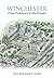 Winchester From Prehistory to the Present