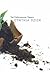 The Puttermesser Papers  by Cynthia Ozick
