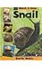 Snail (Watch It Grow)