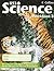 Workbook 3 (Collins KS3 Sci...