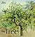The Tree: Meaning and Myth
