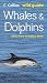 Whales and Dolphins