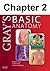 Back: Chapter 2 of Gray's Basic Anatomy (Gray's Basic Anatomy #2)