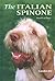 The Italian Spinone