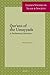 Qur’ans of the Umayyads: A First Overview (Leiden Studies in Islam and Society, 1)