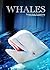 Whales - Kids Picture Book ...